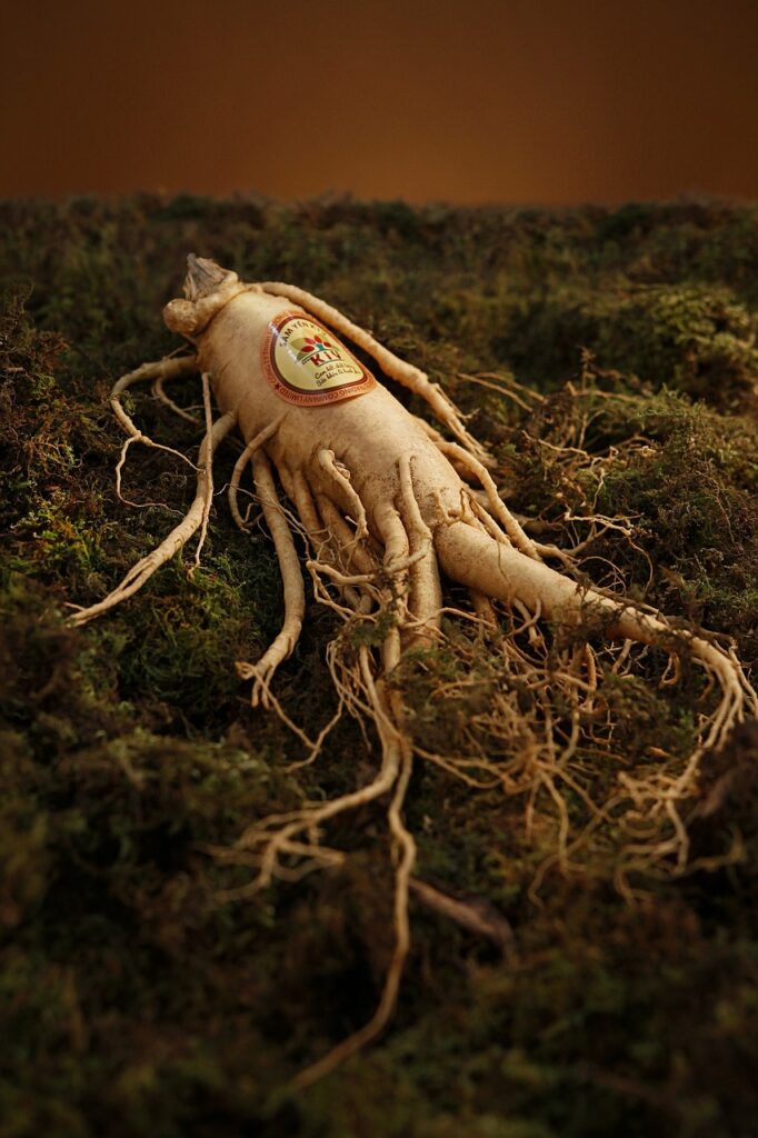 ginseng, yellow, grass-1848303.jpg