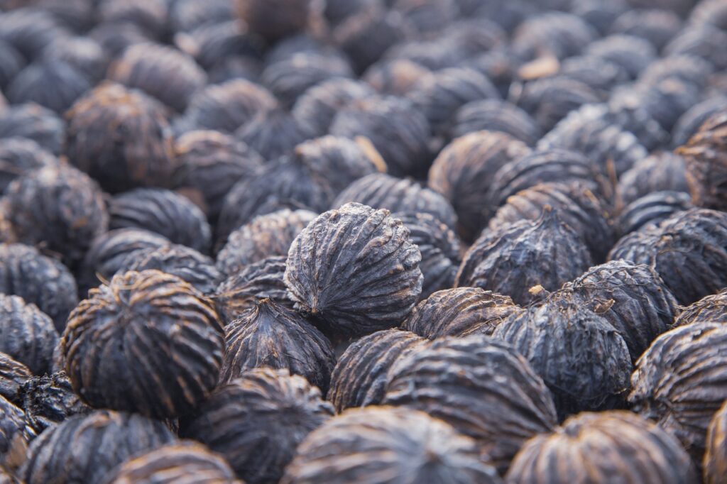 nuts, walnut, eastern black walnut-7103392.jpg